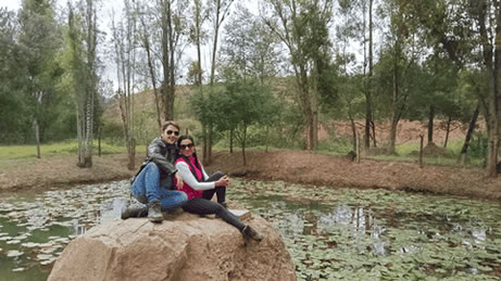 Group Tours