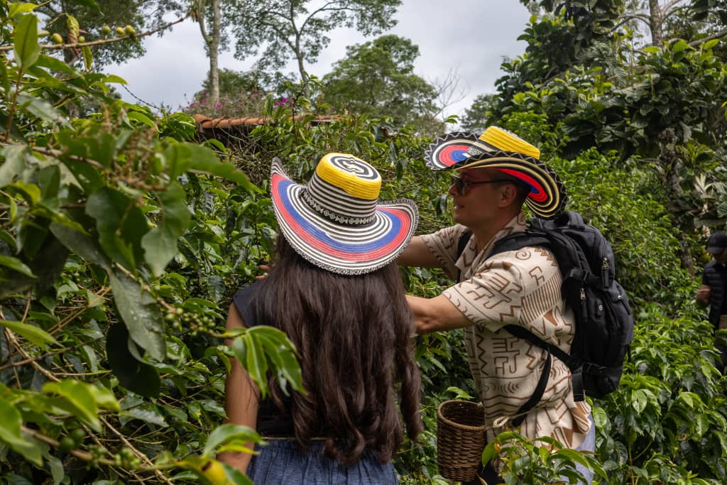 Experience the magic of the Coffee Region with a scenic Willys ride, breathtaking landscapes, and a traditional Colombian lunch