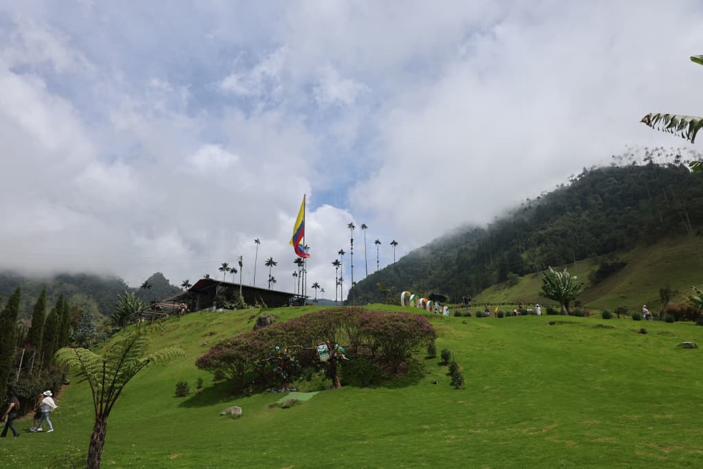Explore cloud forests, giant wax palms, hummingbirds, and breathtaking mountain scenery on the ultimate Cocora Valley adventure